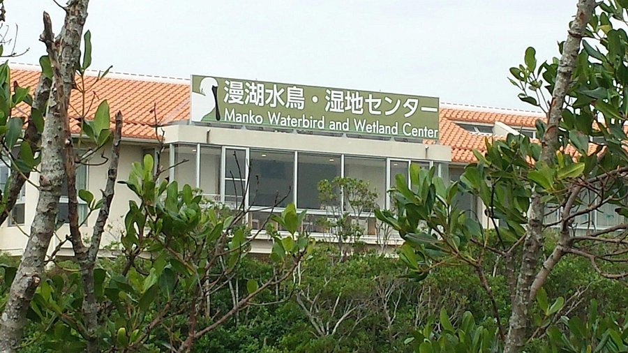 🌊 만코 물새・습지 센터 이미지 4